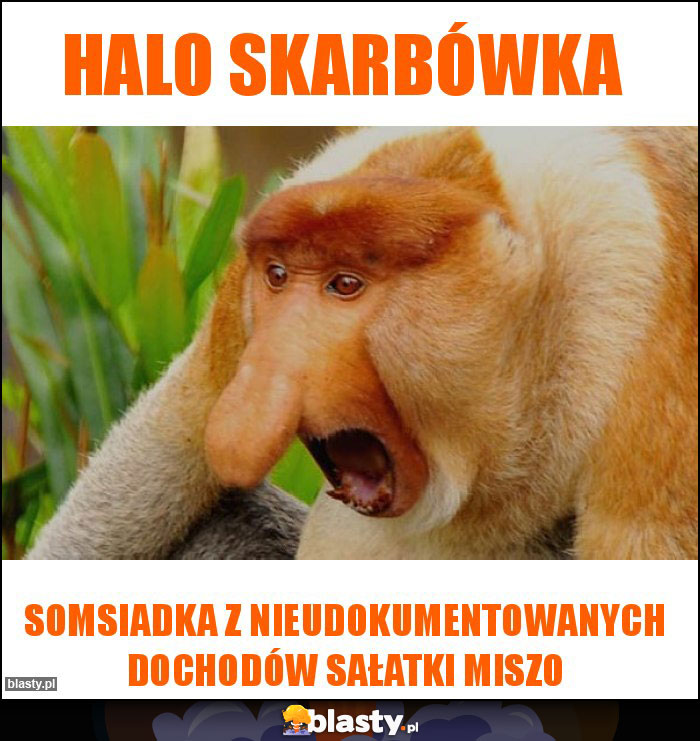 Halo Skarbówka