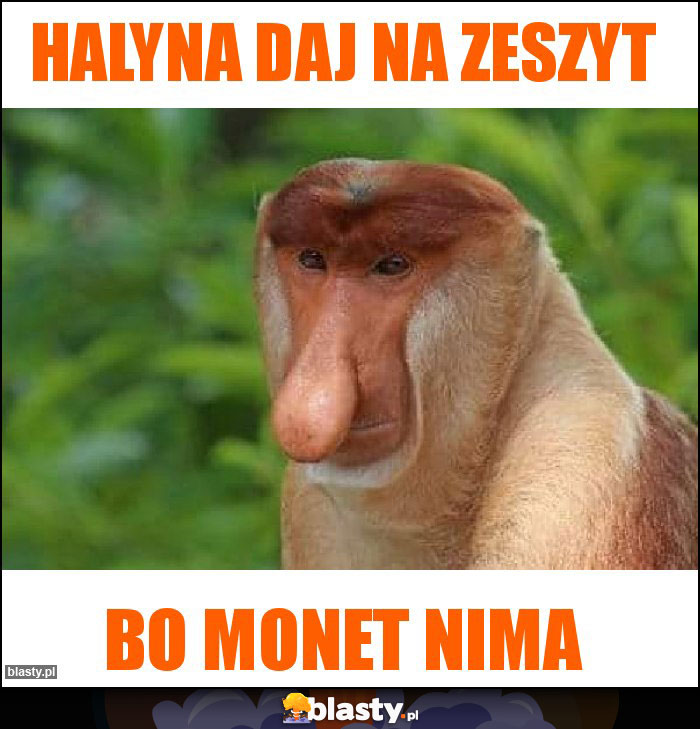 Halyna daj na zeszyt