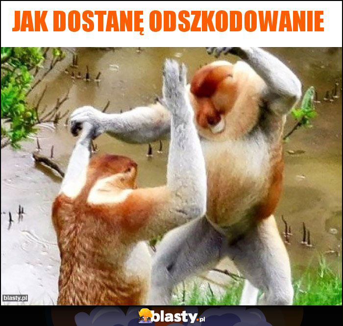 Jak dostanę odszkodowanie