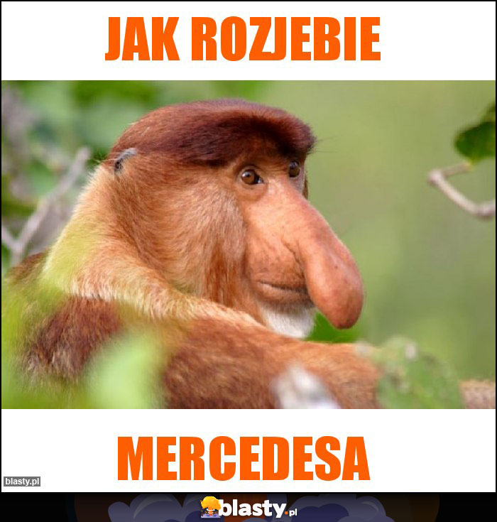 Jak rozjebie