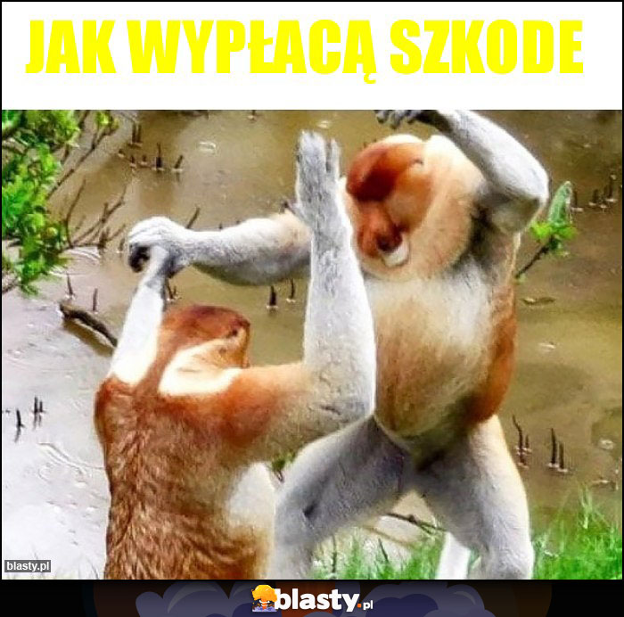 Jak wypłacą szkode