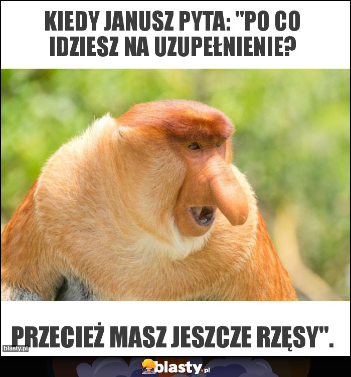 Kiedy Janusz pyta: 