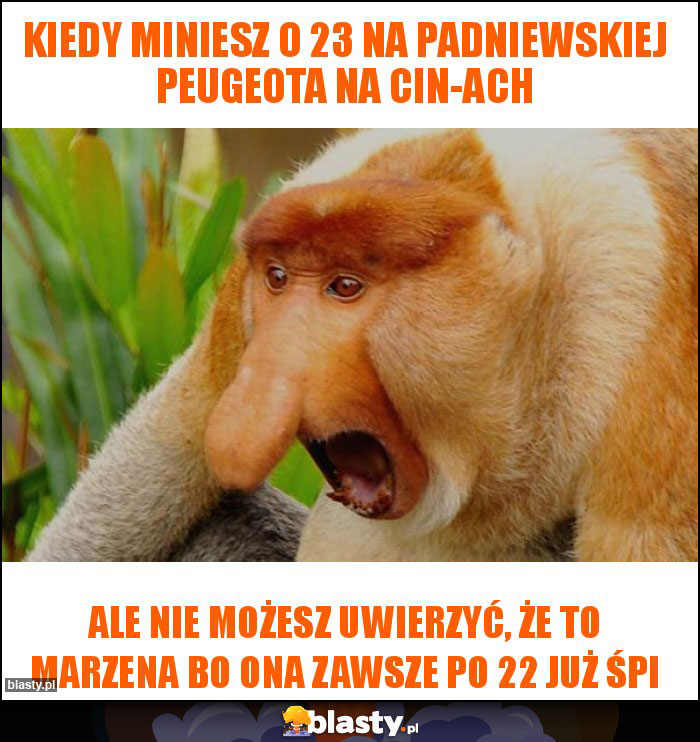 Kiedy miniesz o 23 na Padniewskiej Peugeota na Cin-ach