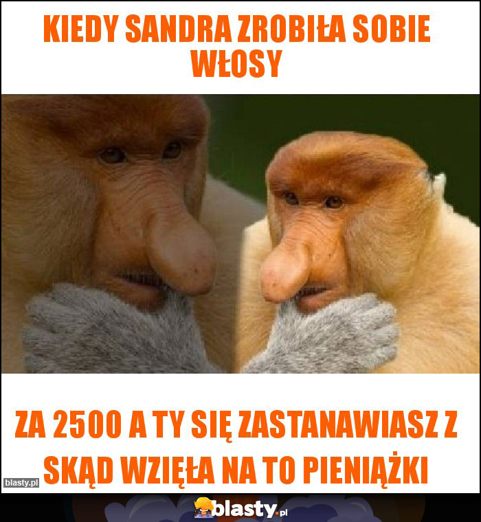 Kiedy Sandra zrobiła sobie włosy