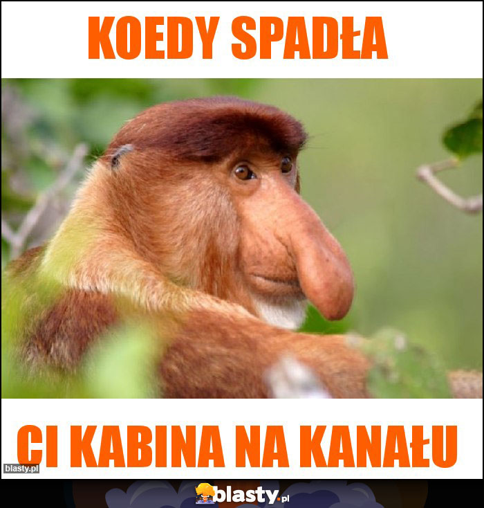 Koedy spadła