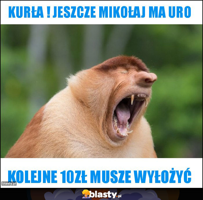 Kurła ! jeszcze mikołaj ma uro