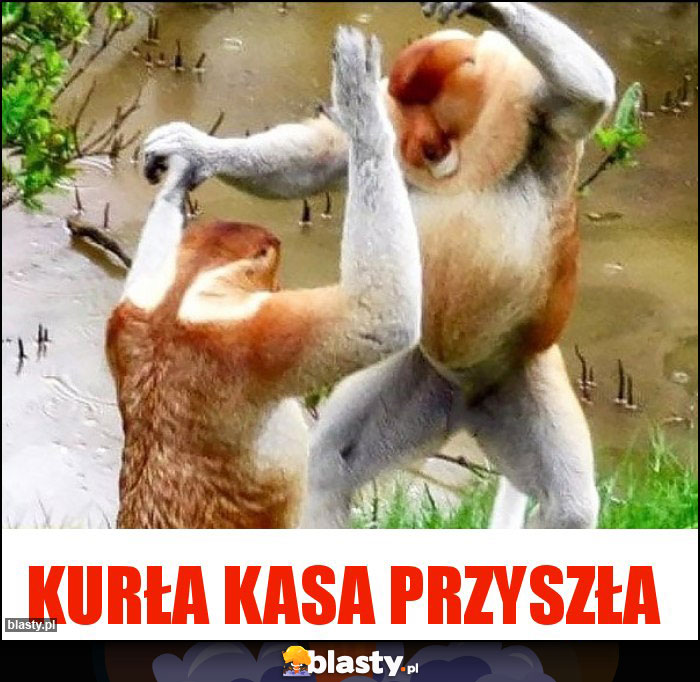 Kurła kasa przyszła