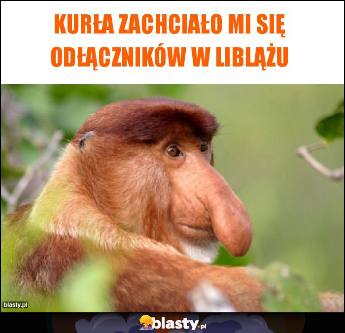 kurła zachciało mi się odłączników w liblążu