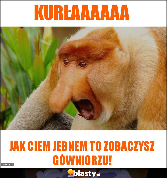 Kurłaaaaaa