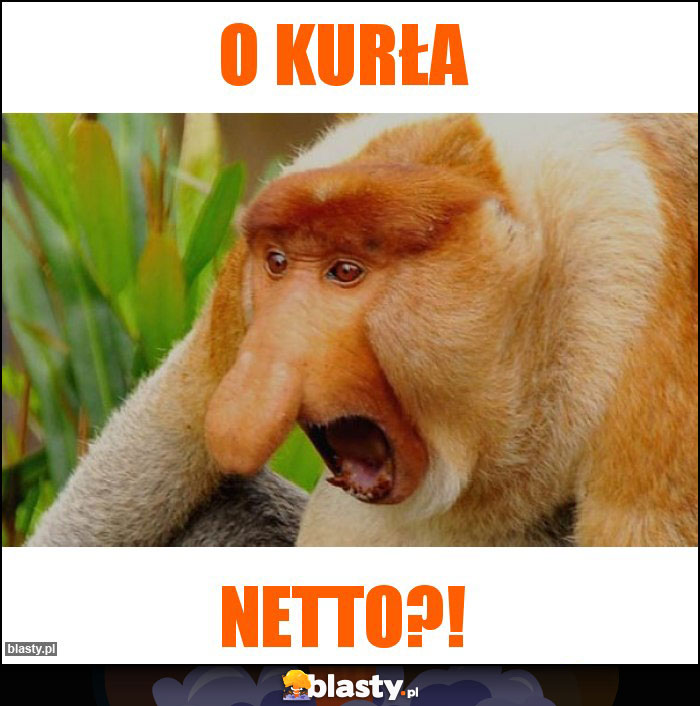 O kurła