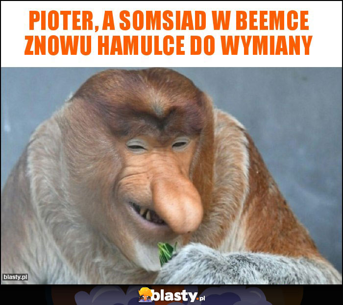 Pioter, a somsiad w beemce znowu hamulce do wymiany