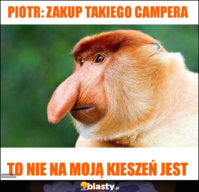 piotr: zakup takiego campera