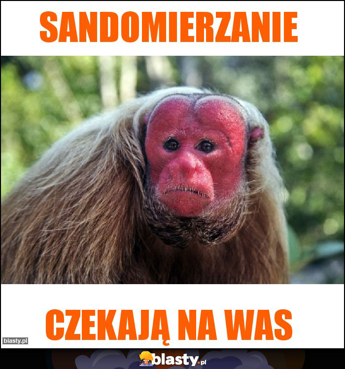 Sandomierzanie