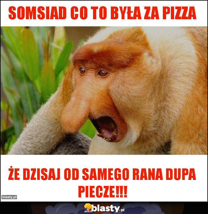 Somsiad co to była za Pizza