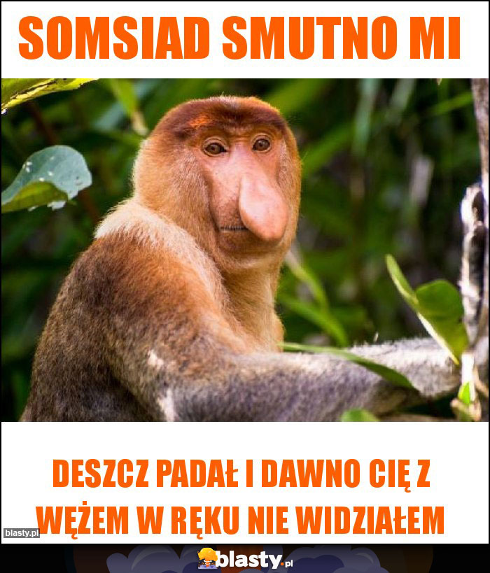 SOMSIAD SMUTNO MI