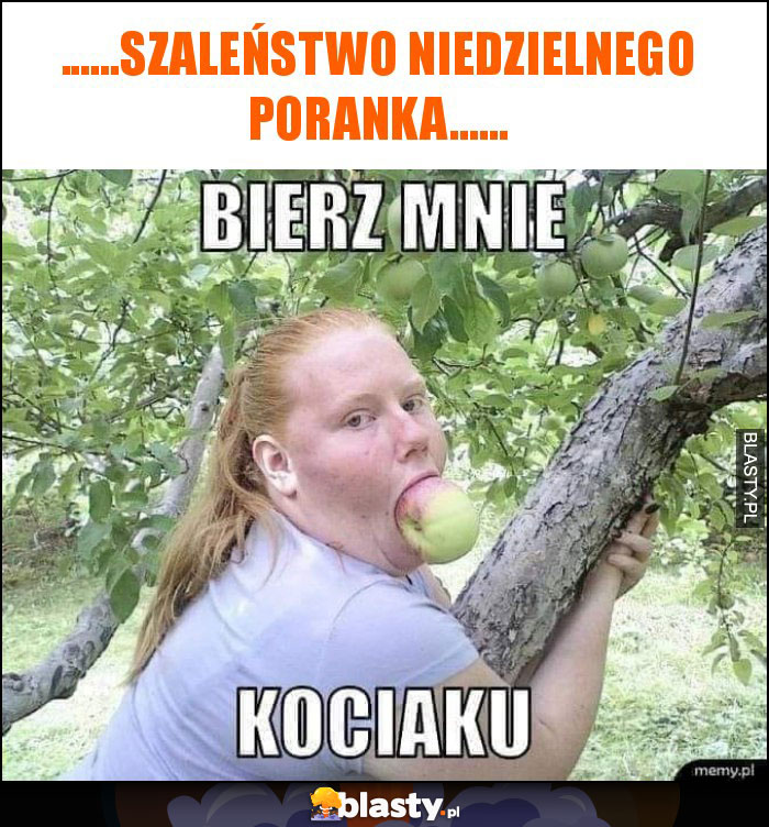 ......szaleństwo niedzielnego poranka......