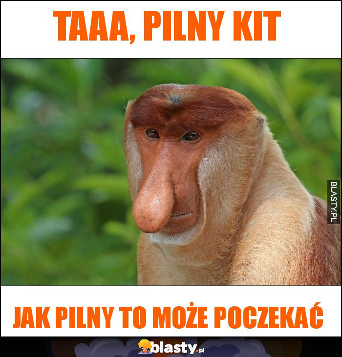 Taaa, pilny KIT