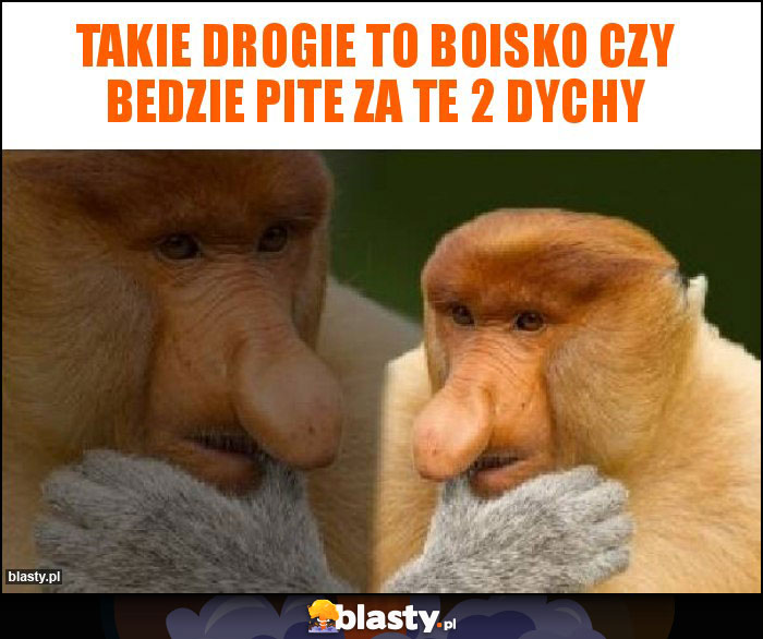 Takie drogie to boisko czy bedzie pite za te 2 dychy