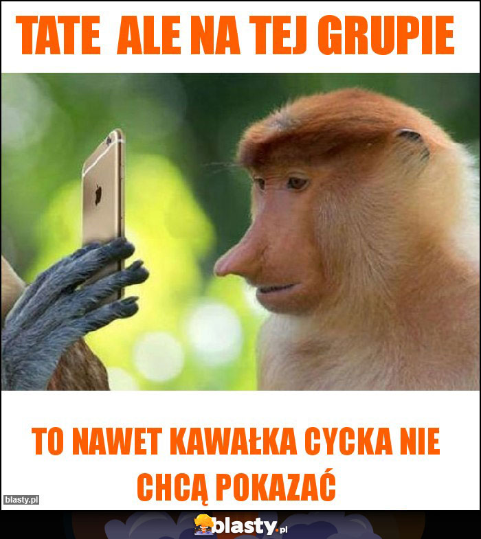 Tate  ale na tej grupie