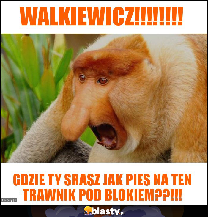 Walkiewicz!!!!!!!!