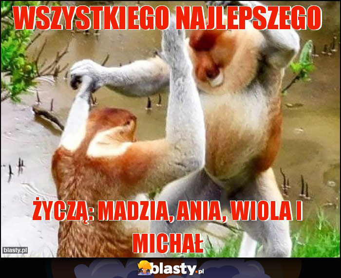 Wszystkiego najlepszego