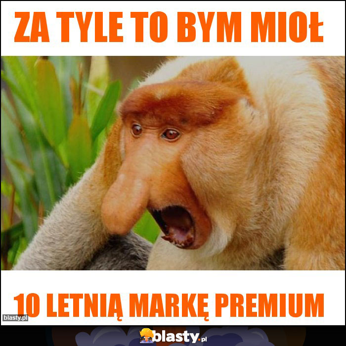 za tyle to bym mioł