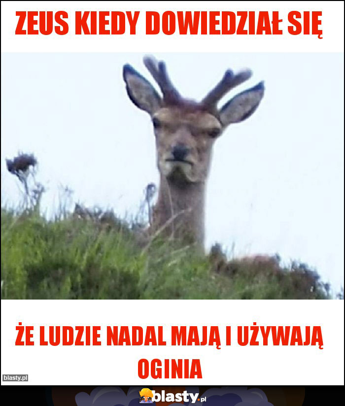 Zeus kiedy dowiedział się