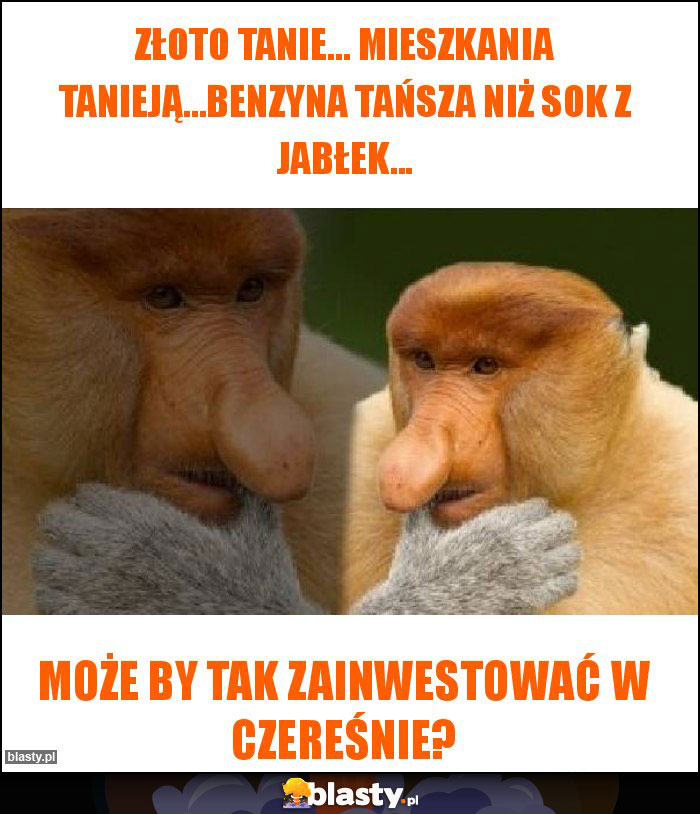 Złoto tanie... Mieszkania tanieją...benzyna tańsza niż sok z jabłek...