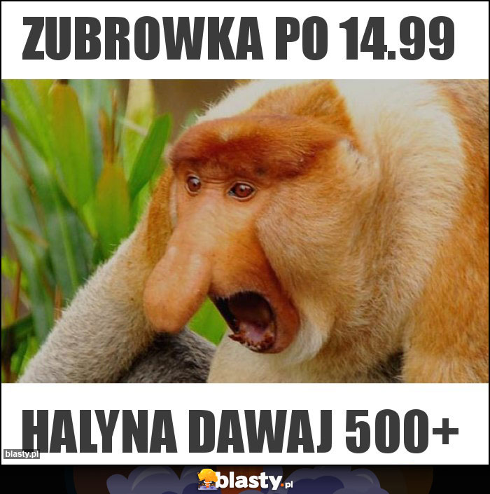 Zubrowka po 14.99