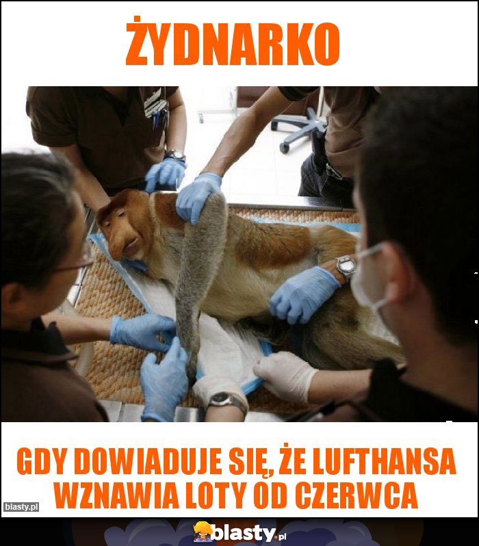 ŻYDNARKO