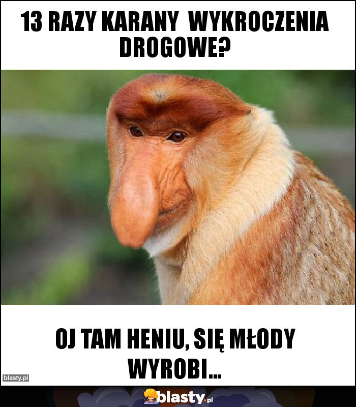 13 razy karany  wykroczenia drogowe?