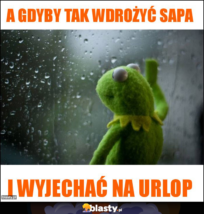 A gdyby tak wdrożyć SAPa