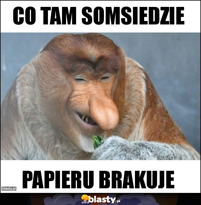 co tam somsiedzie