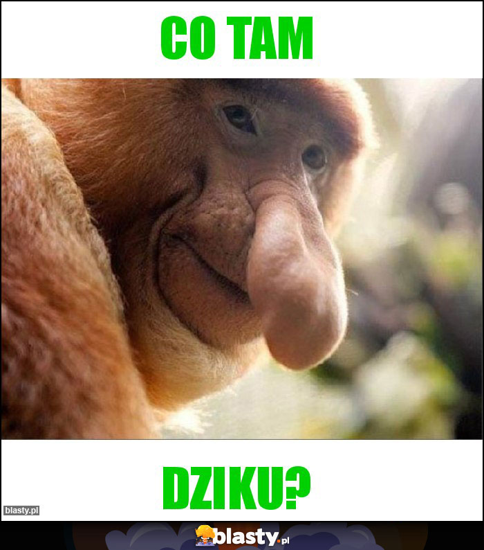 CO TAM