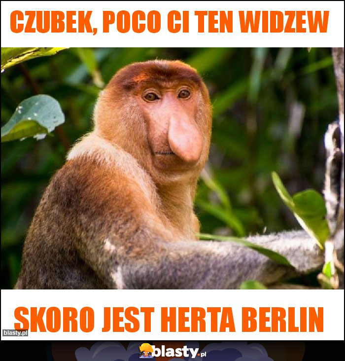 Czubek, poco ci ten widzew