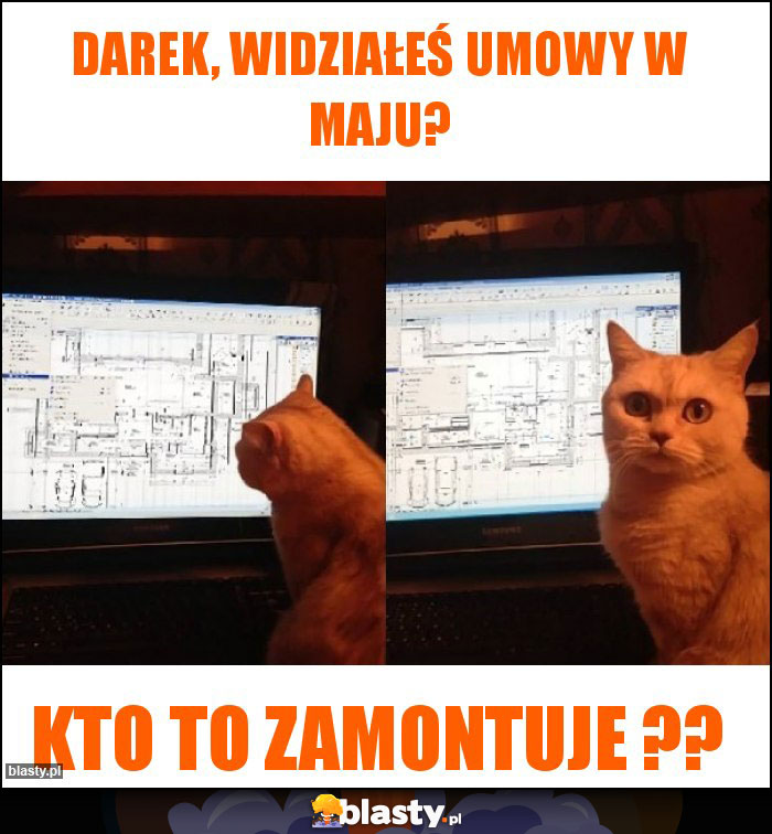 Darek, widziałeś umowy w maju?