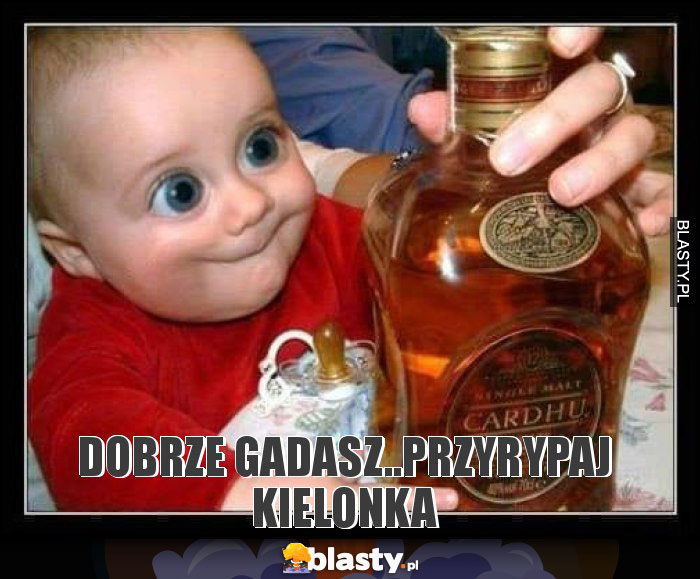 DOBRZE GADASZ..PRZYRYPAJ KIELONKA