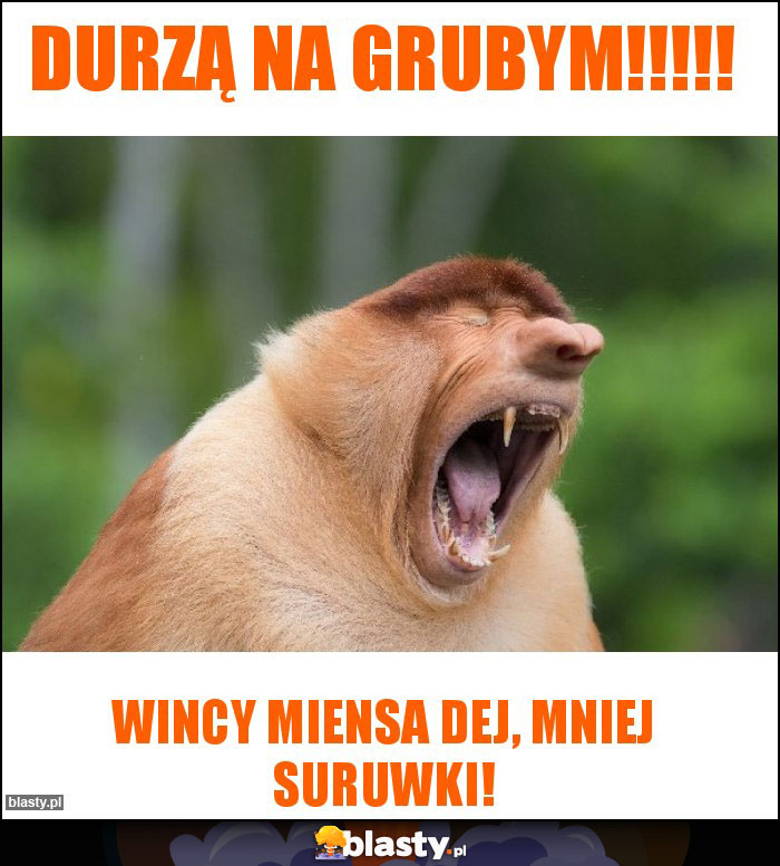 DURZĄ NA GRUBYM!!!!!