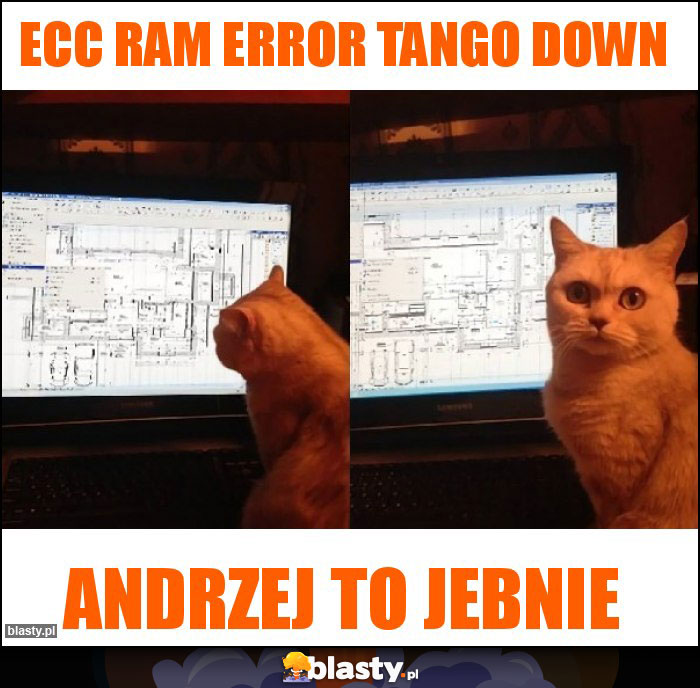 ECC RAM ERROR TANGO DOWN