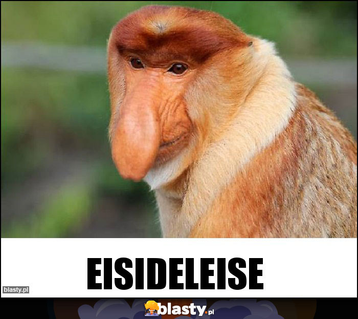 Eisideleise