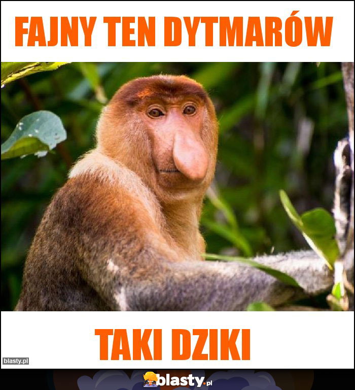 Fajny ten Dytmarów