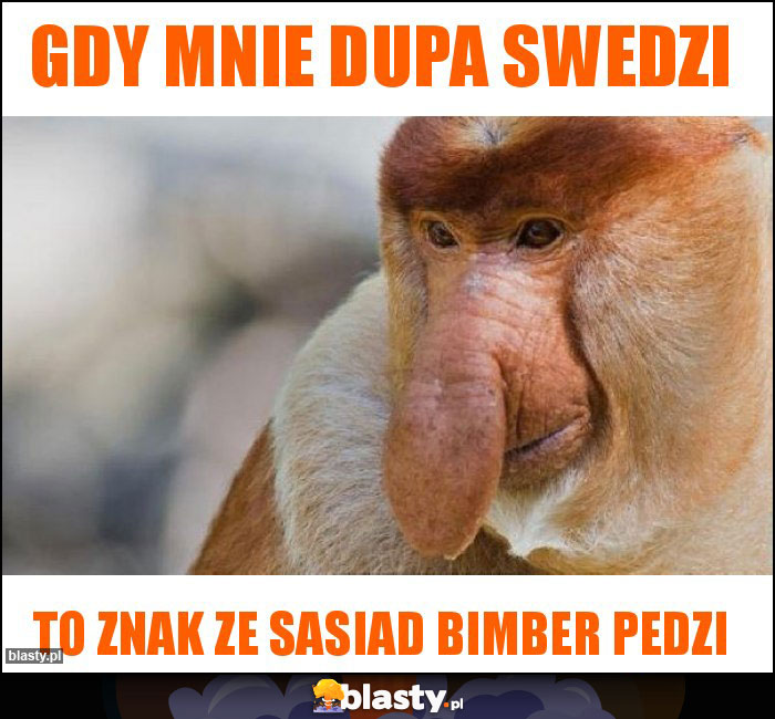 Gdy mnie dupa swedzi