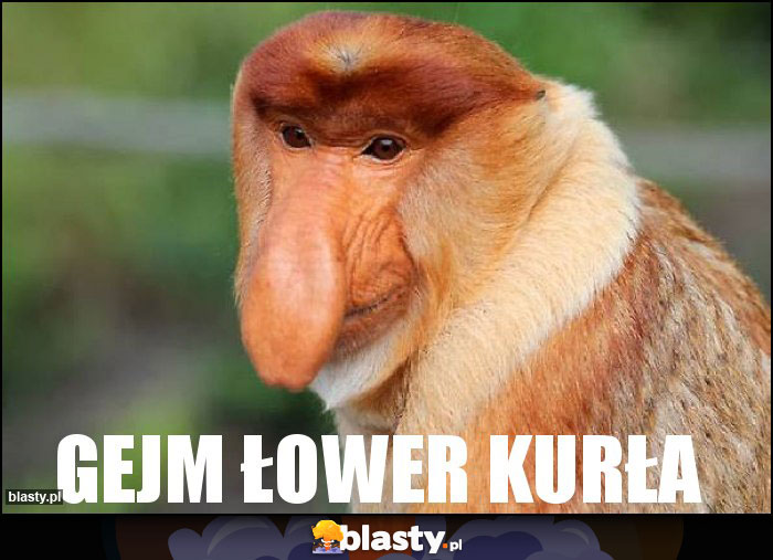 GEJM ŁOWER KURŁA