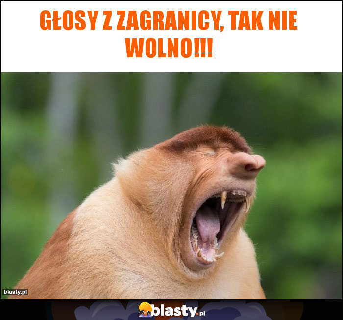 głosy z zagranicy, tak nie wolno!!!