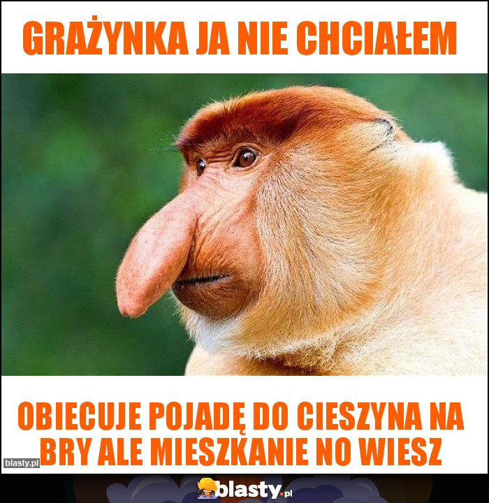 Grażynka ja nie chciałem