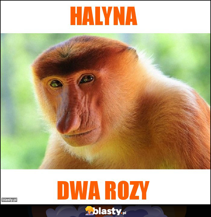 Halyna