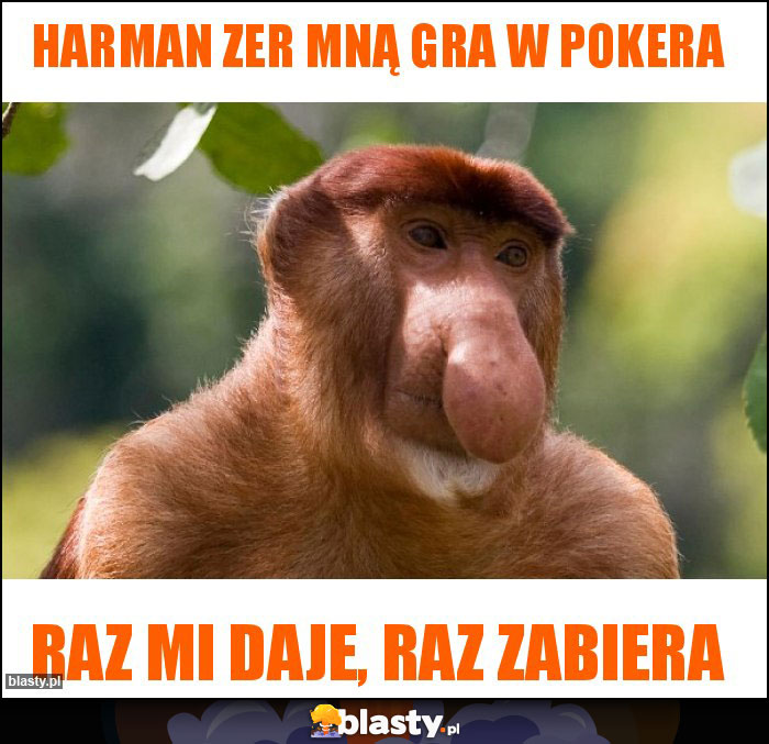 HARMAN ZER MNĄ GRA W POKERA