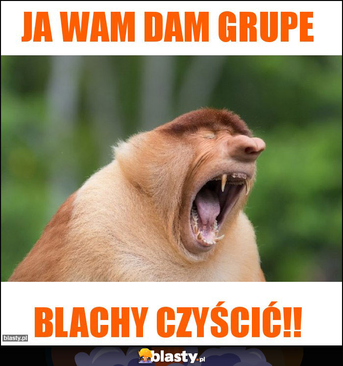 Ja wam dam grupe