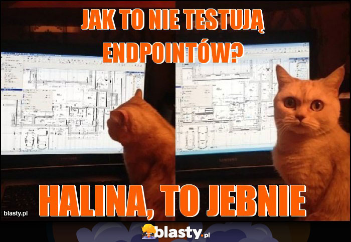 Jak to nie testują endpointów?