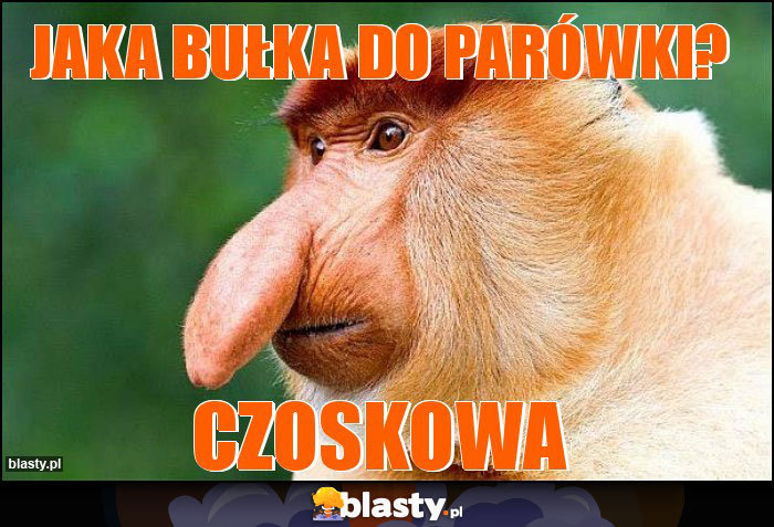 Jaka bułka do parówki?